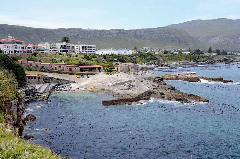 passeios na Africa do Sul Hermanus