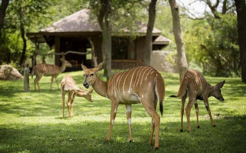 pontos turisticos da africa do sul