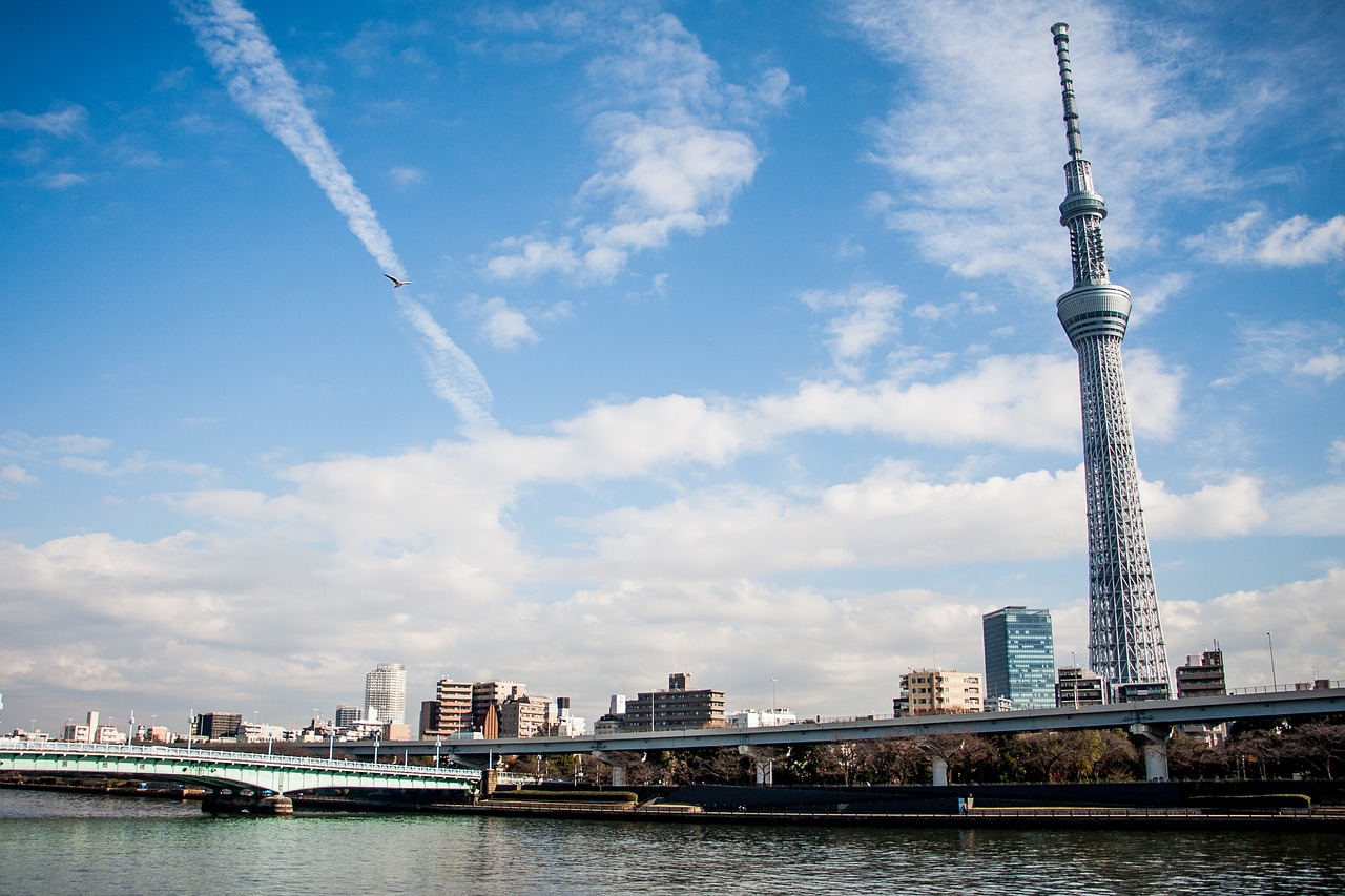 Entretenimento em Tokyo O que fazer em Tokyo no inverno