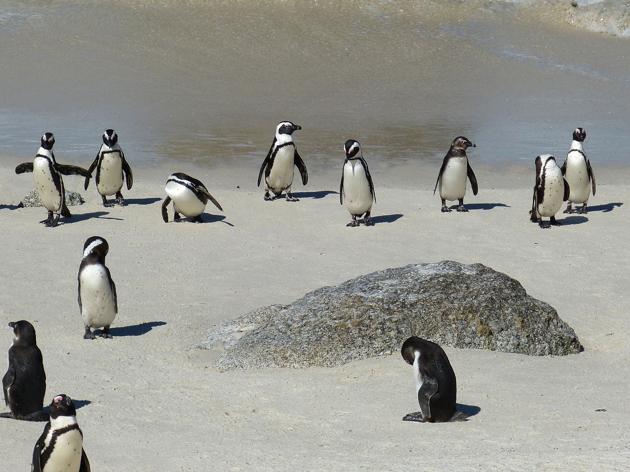 O que fazer em Cape Town com crianças