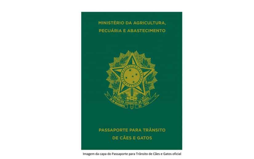 passaporte para cães e gatos