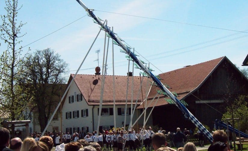 Árvore de Maio Maibaum
