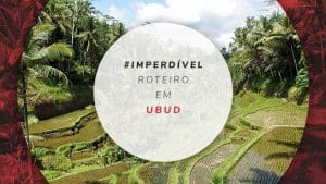 Roteiro em Ubud: o que fazer em 4 dias de viagem