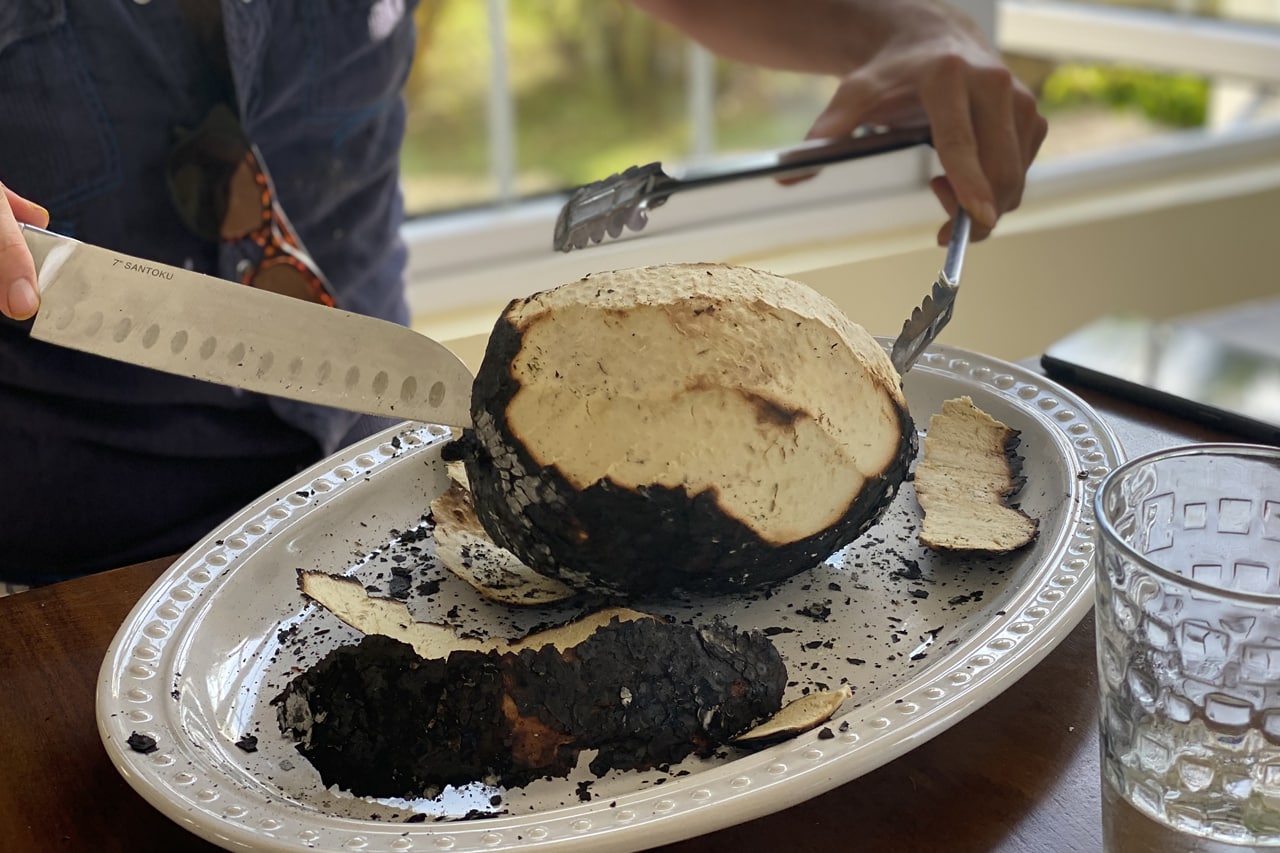 Petiscos jamaicanos Fruta-pão é típica da Jamaica