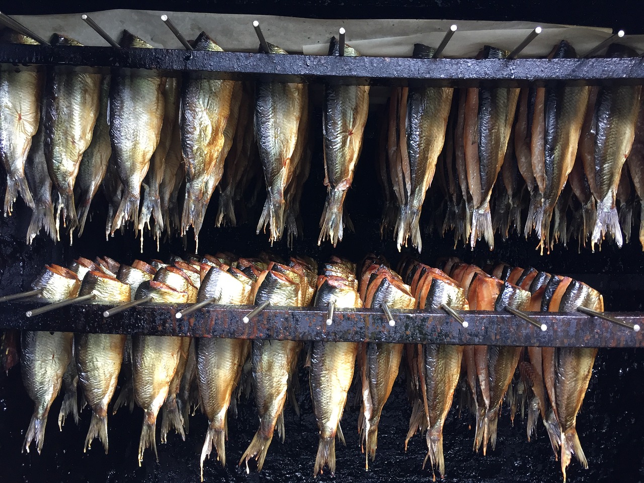 Pratos com peixe na Letonia comidas tipicas da letonia Kūpināta Zivs
