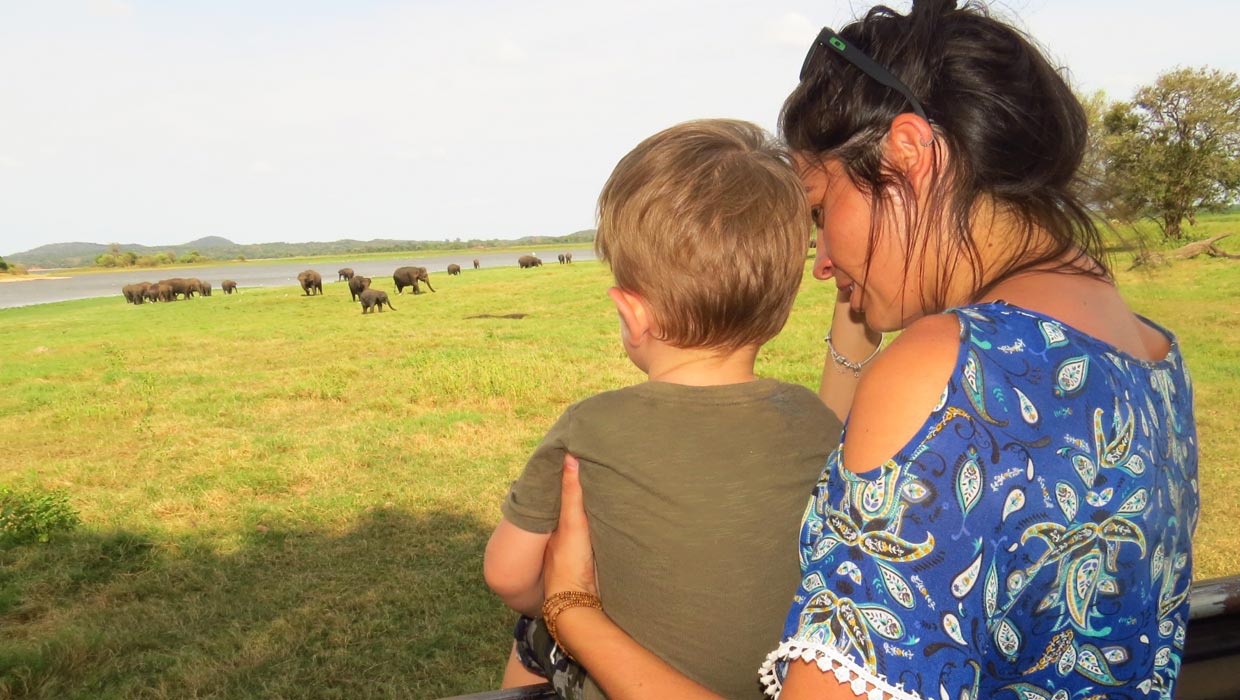 safari elefantes com familia