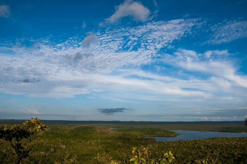 Floresta Nacional Tapajós