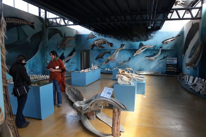 museus pagos em Ushuaia