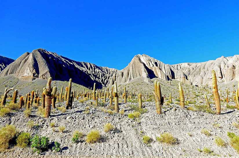 Pontos turísticos de Salta passeios