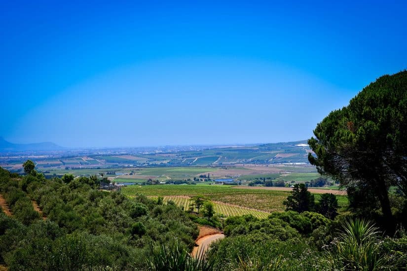 vinicolas stellenbosch