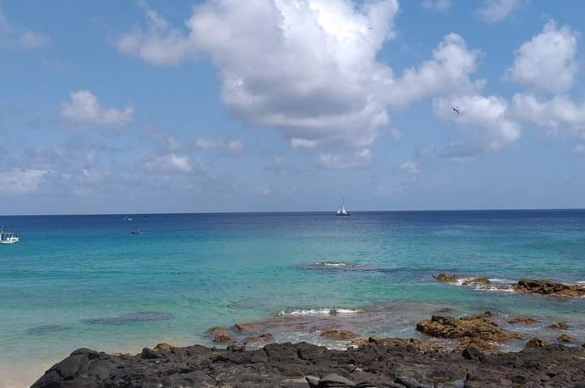 swell Fernando de Noronha