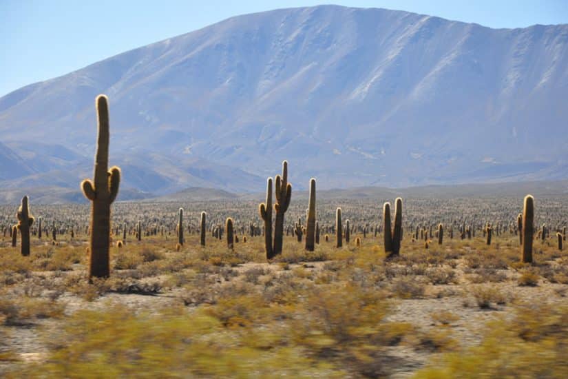 Atrações de Salta, Argentina