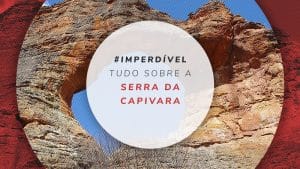 Serra da Capivara: vestígios arqueológicos e arte rupestre