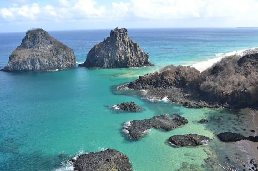 animais em fernando de noronha