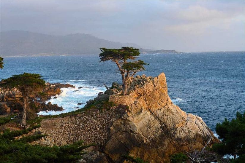 dicas da 17 mile drive