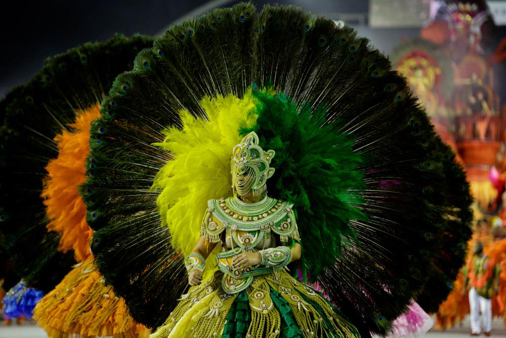 Carnaval fotos de sp festas