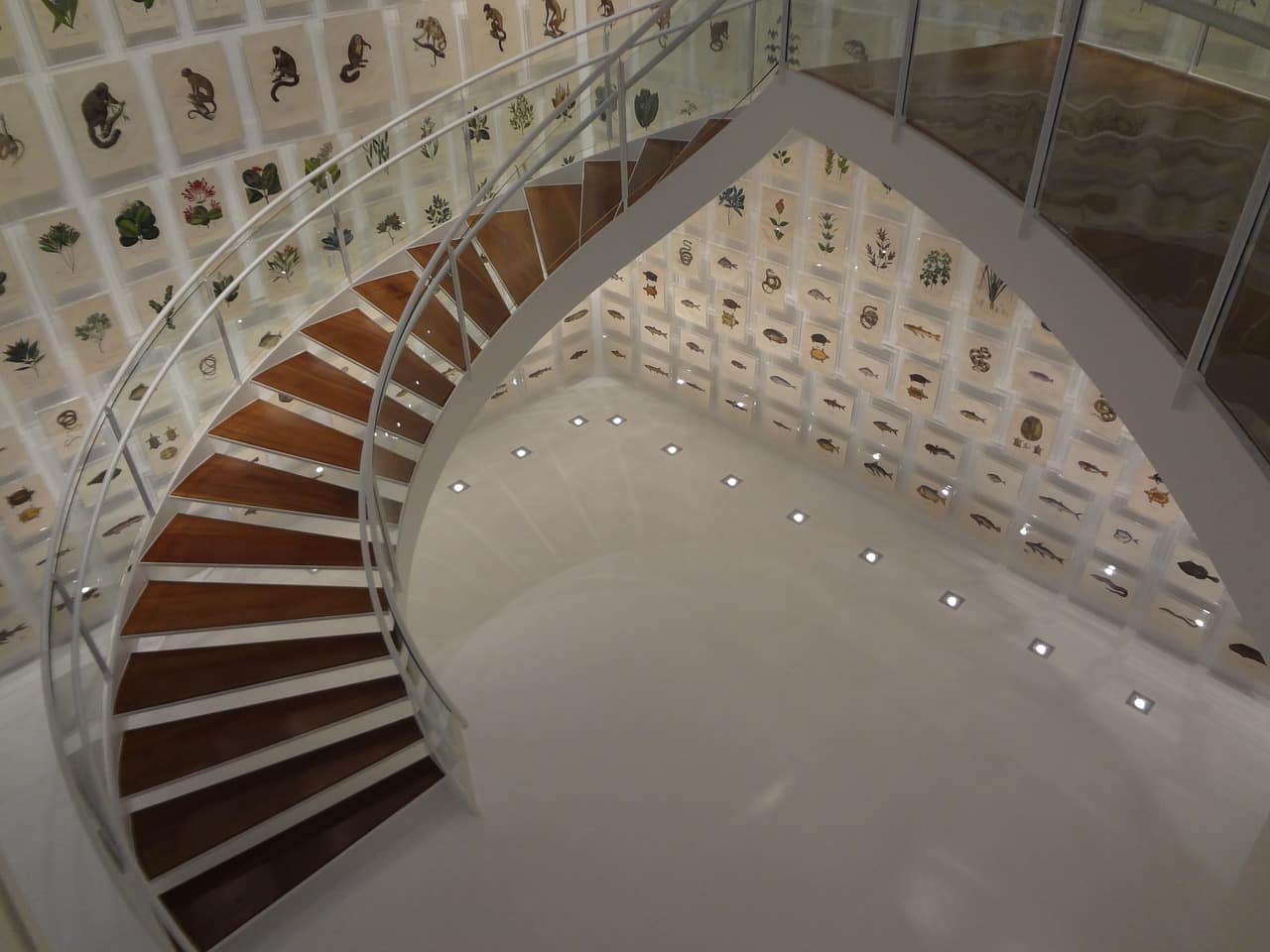 O que ver no Itau Cultural fotos de sp itau cultural