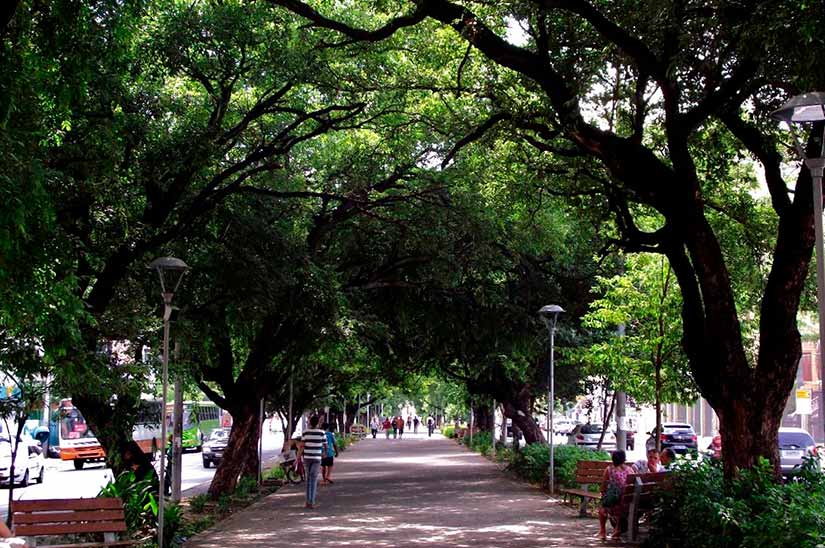 temperatura em Teresina