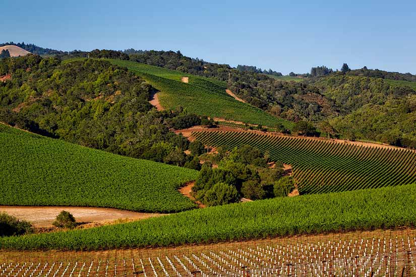 sonoma county vinho california