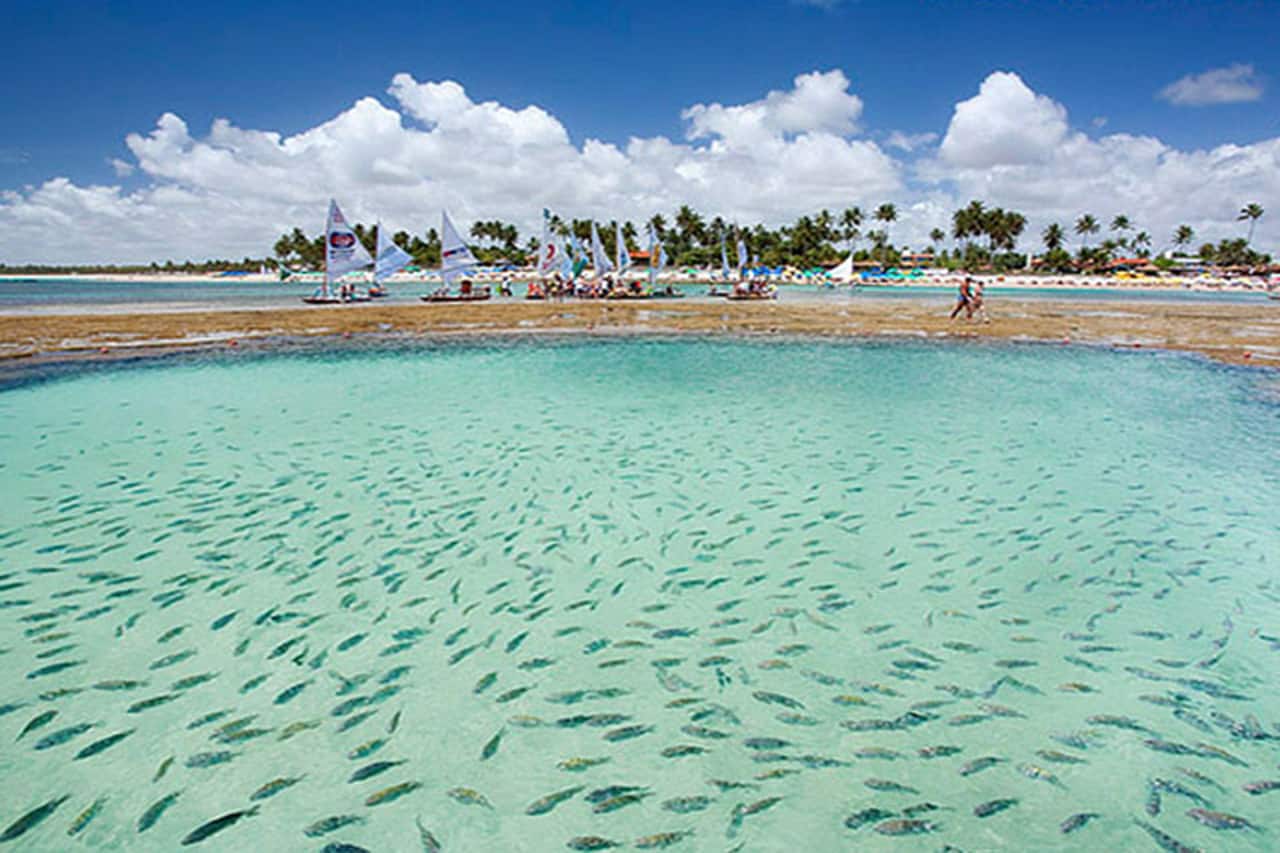 O que fazer em Porto de galinhas mergulho em porto de galinhas
