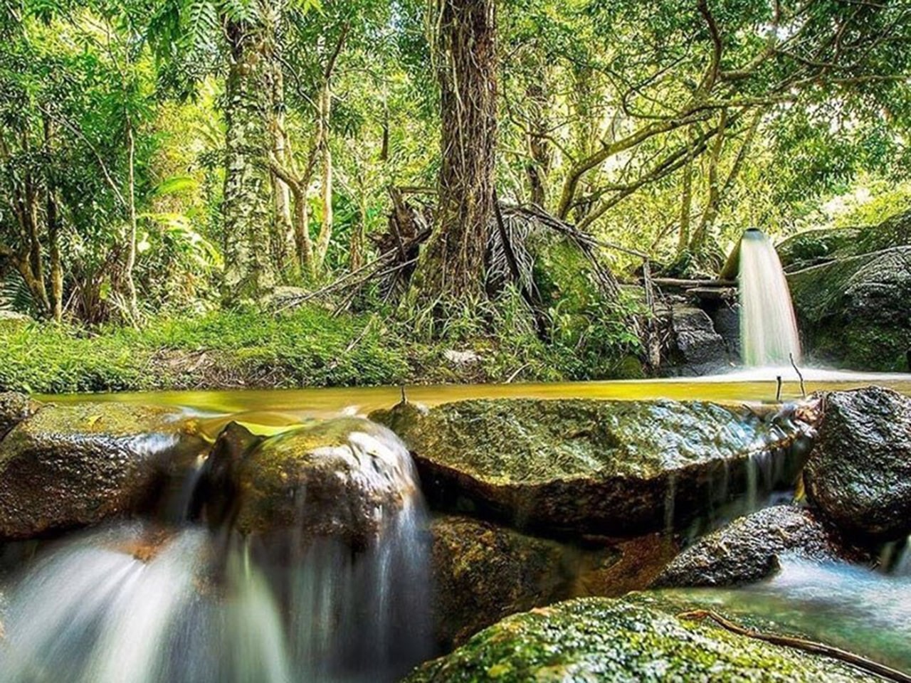 fotos em maragogi cachoeiras