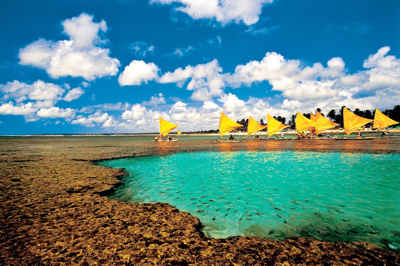 Jangada nas piscinas naturais piscinas naturais pernambuco