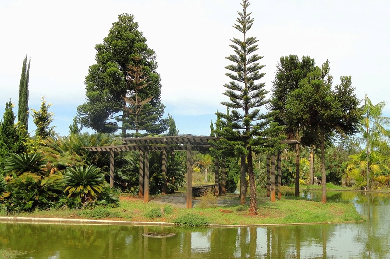 jardim botanico de brasilia