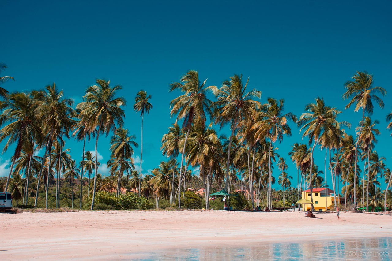 fotos da ilha de Maragogi