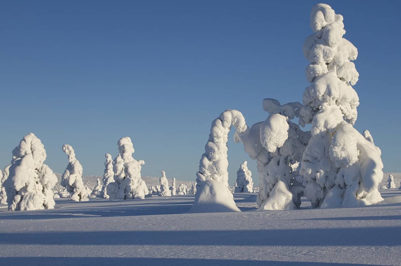 fotos de paisagens naturais Finlândia inverno