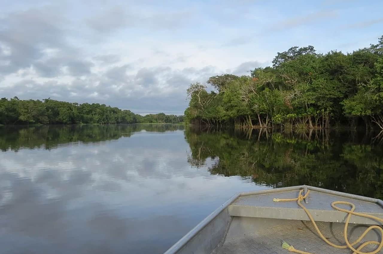 Fotos da Floresta Amazônica