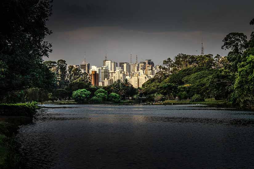 fotos de sp ibirapuera