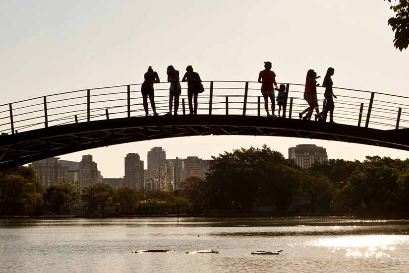 ibirapuera lago