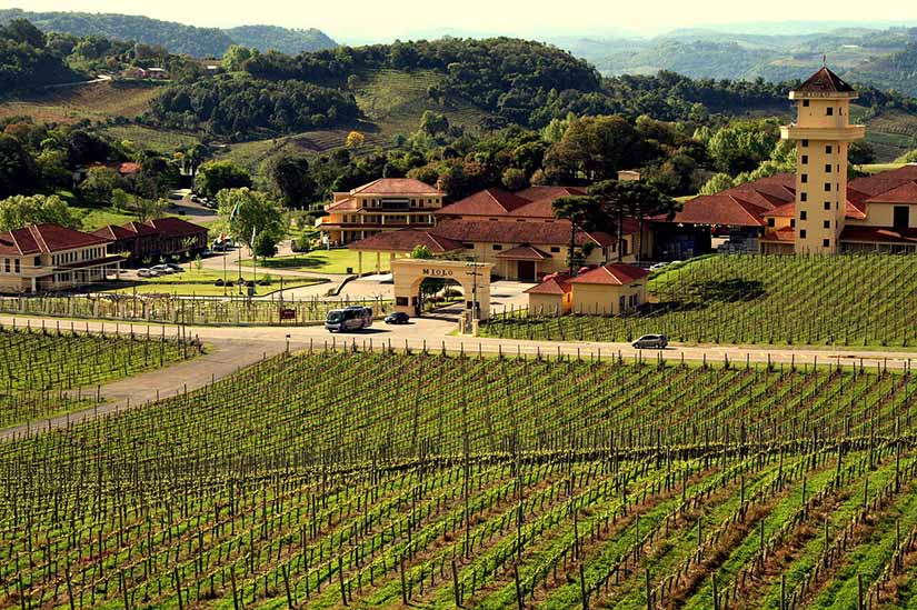 lugares para beber vinho no brasil