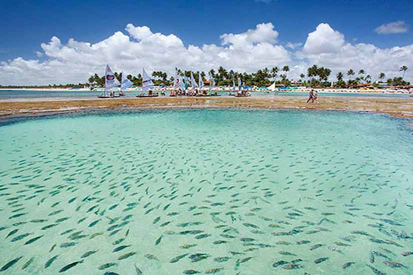 mergulho em porto de galinhas