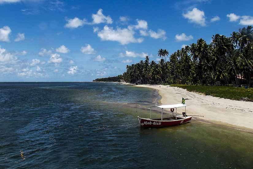 porto de galinhas Praia dos Carneiros