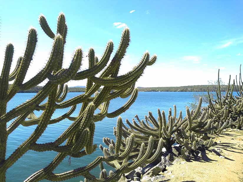 roteiro pelos canions de São Francisco