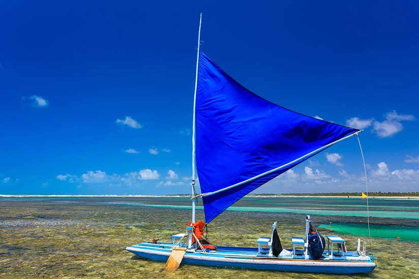 surf em porto de galinhas