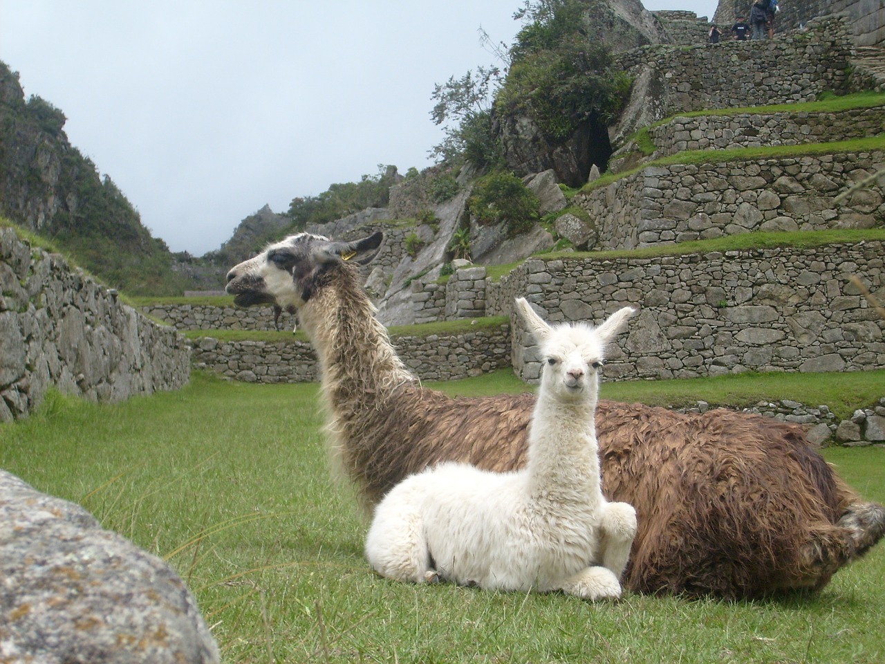 onde fica a cidade sagrada dos incas roteiro machu picchu