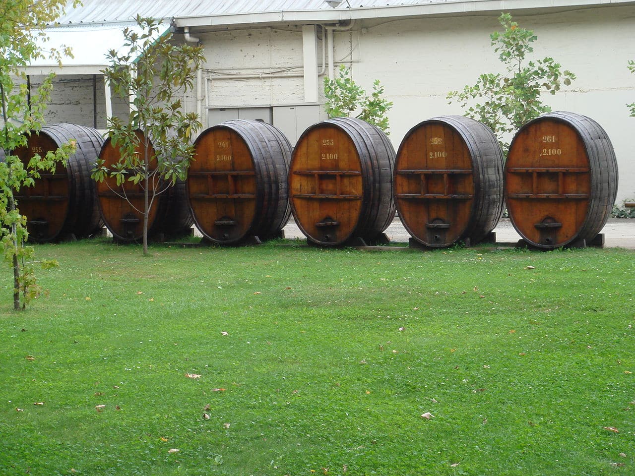 vinícolas no chile onde comprar vinhos no chile