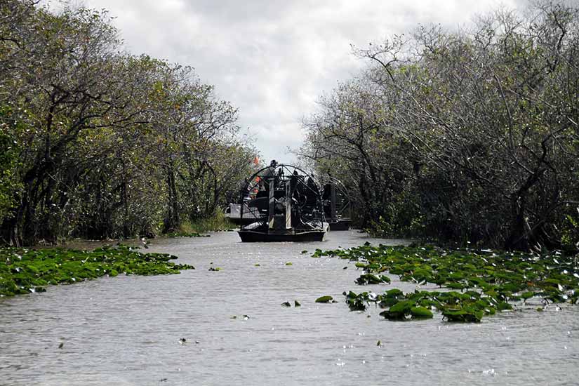 everglades florida