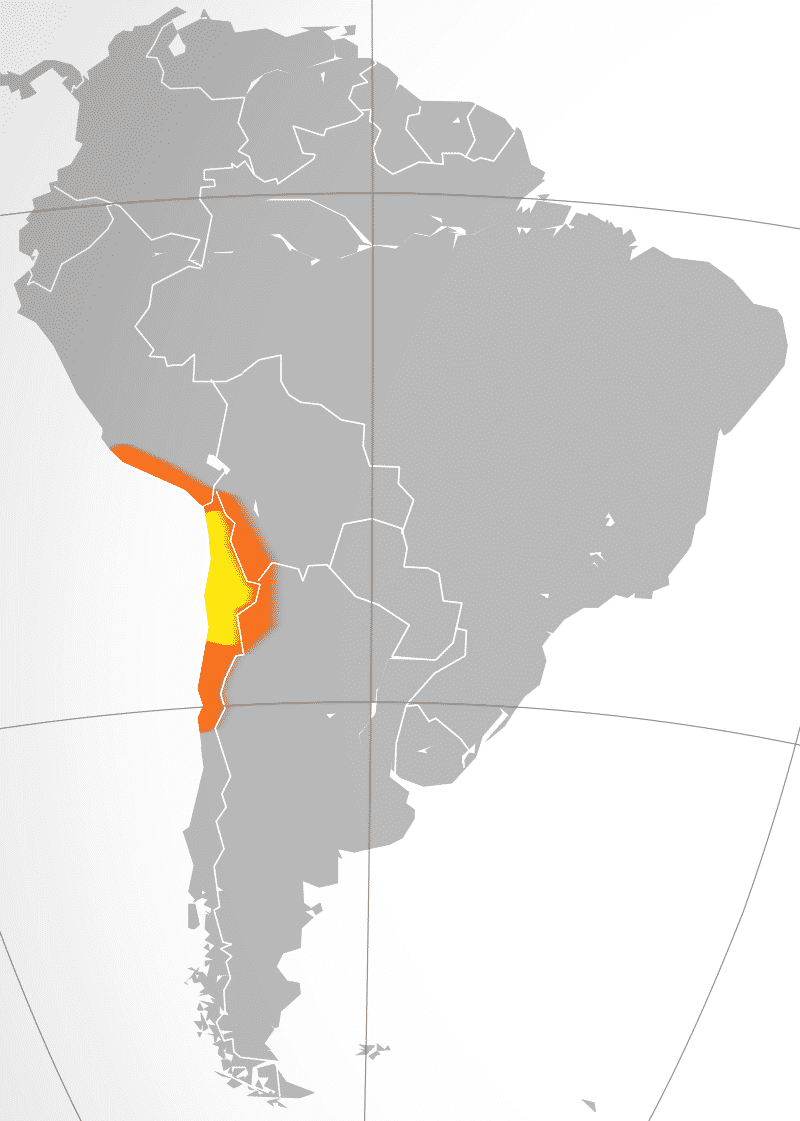 tudo sobre o atacama