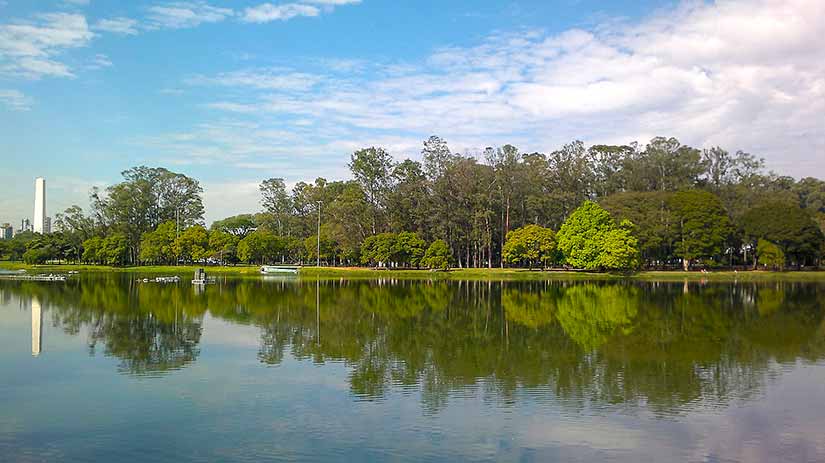 passeios de graça em SP