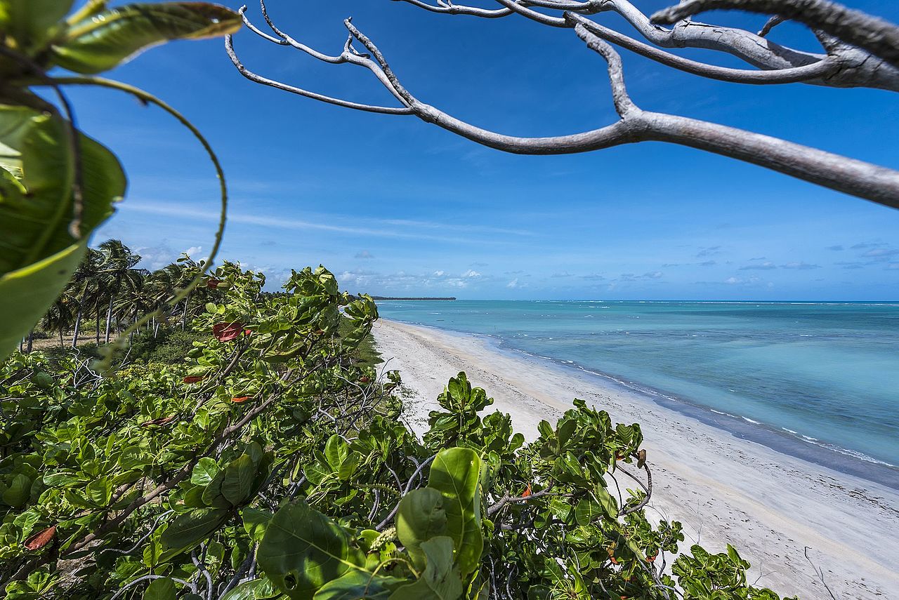 caribe brasileiro alagoas