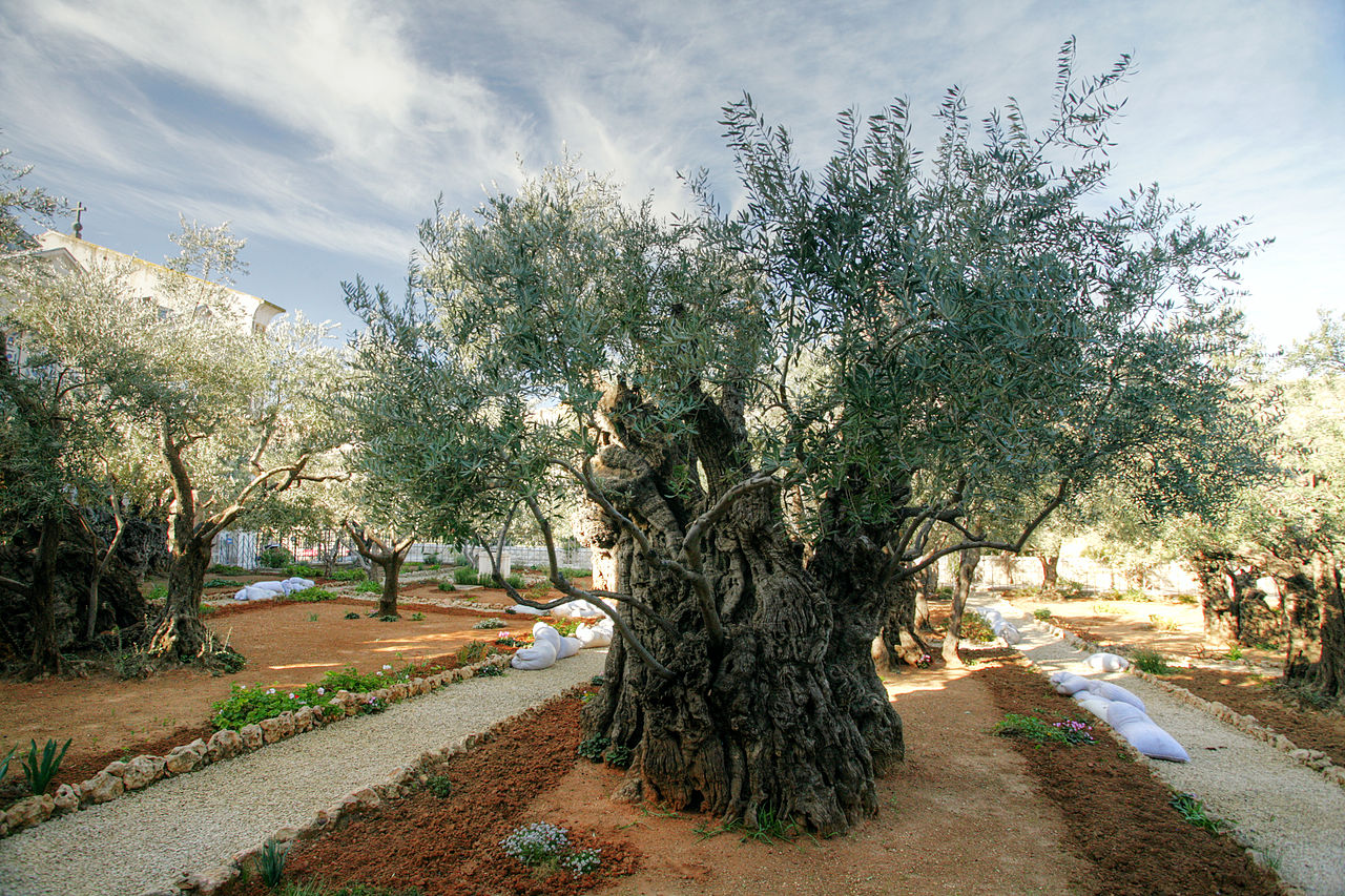 roteiro jerusalem