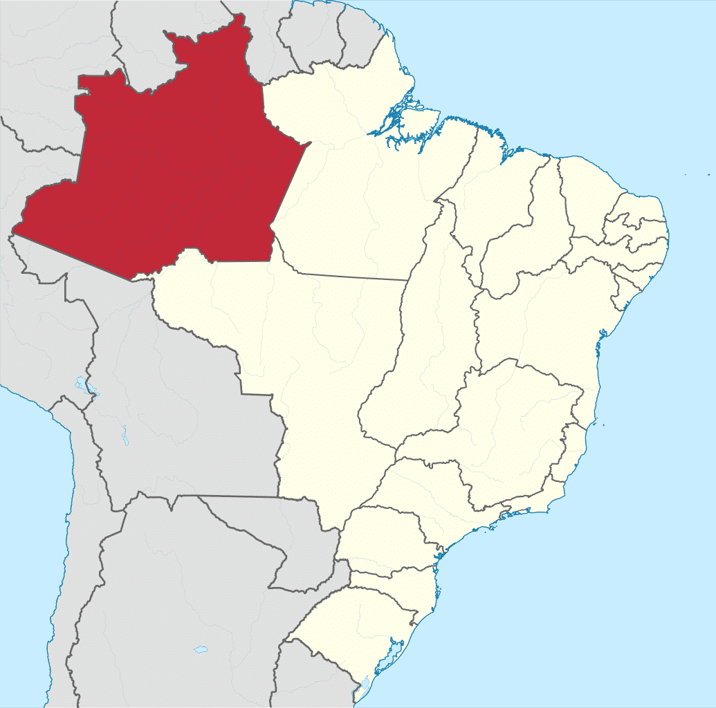 tudo sobre o amazonas