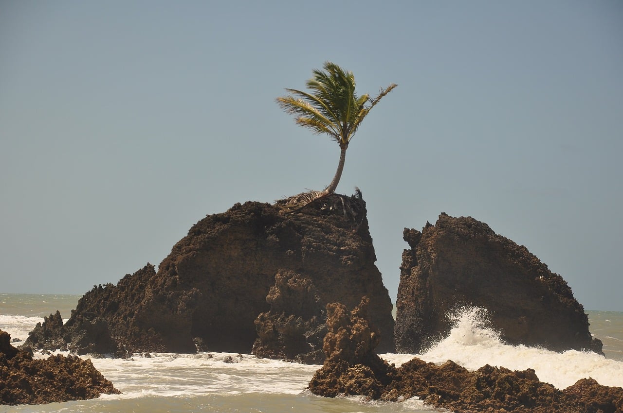 praias da paraíba