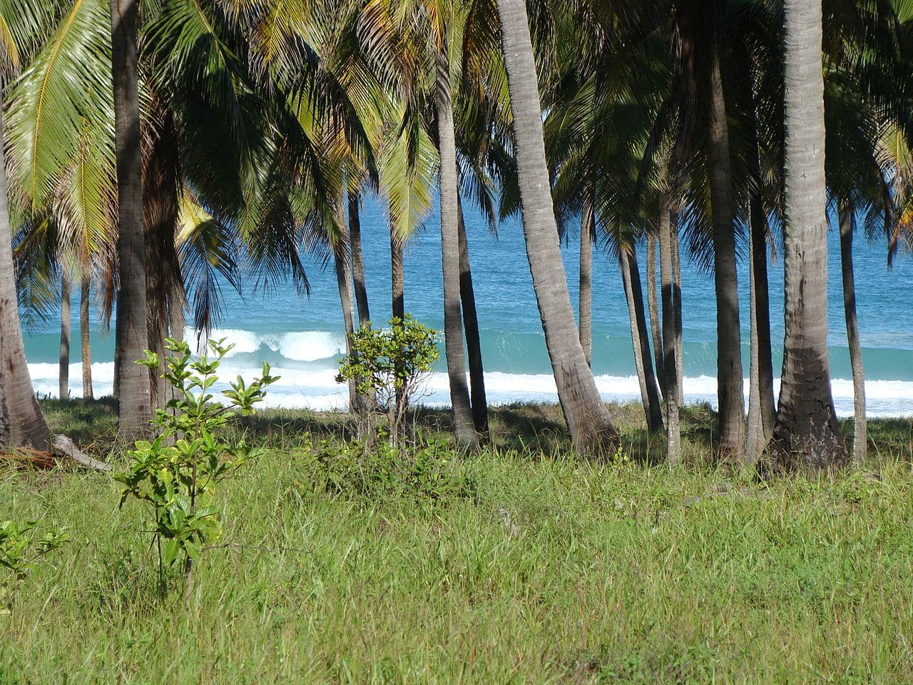 atrações de maceió