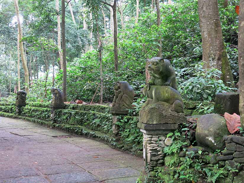 pontos turisticos de ubud floresta dos macacos