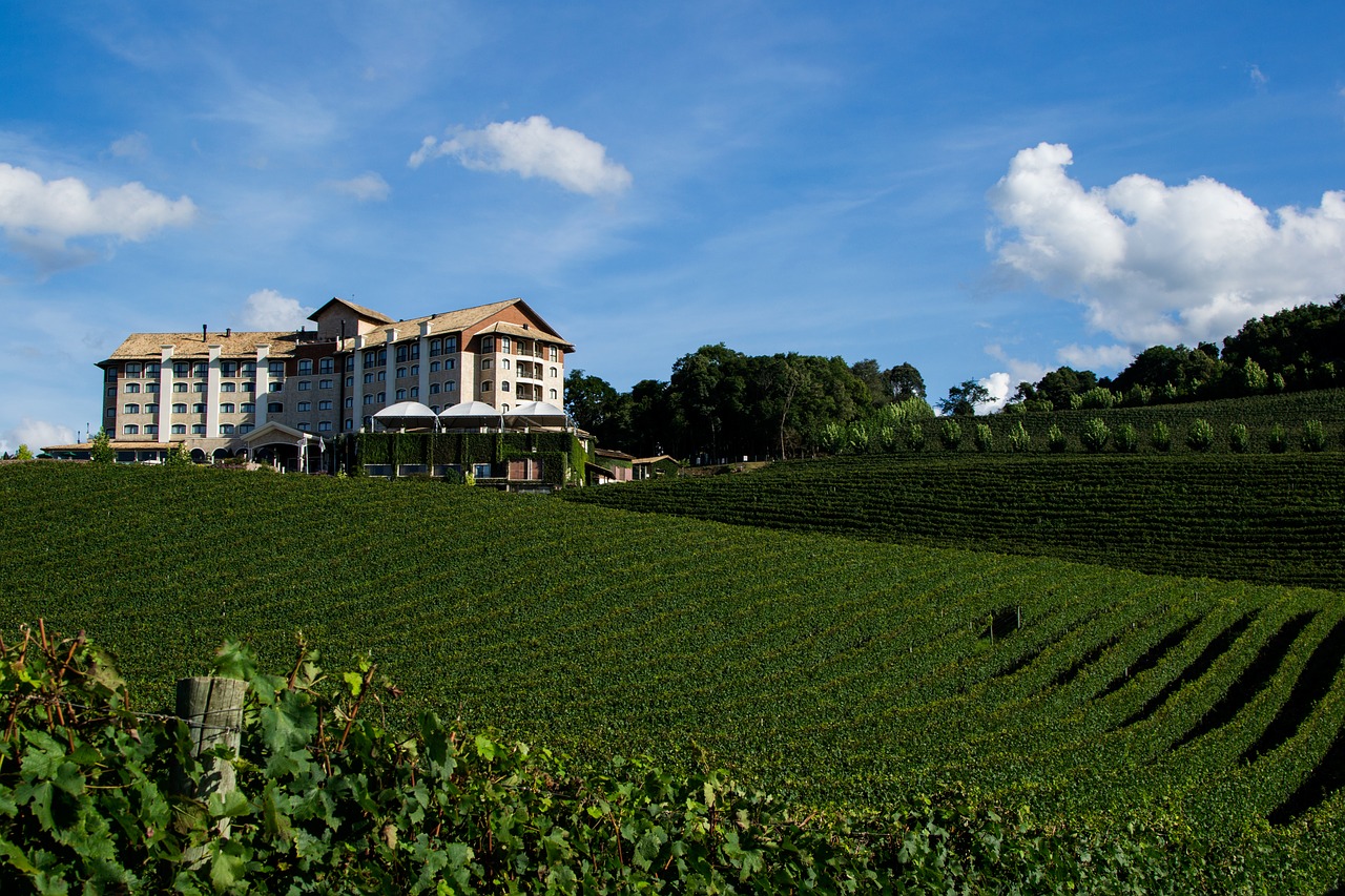 vinicolas no rio grande do sul