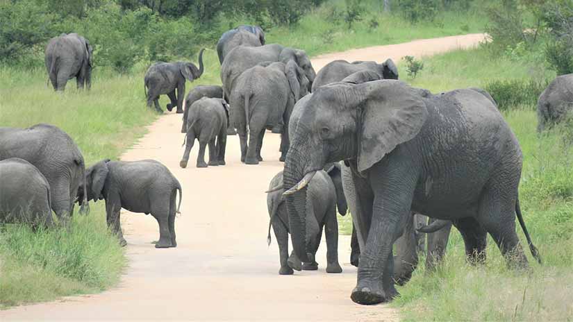 viagem a África do Sul